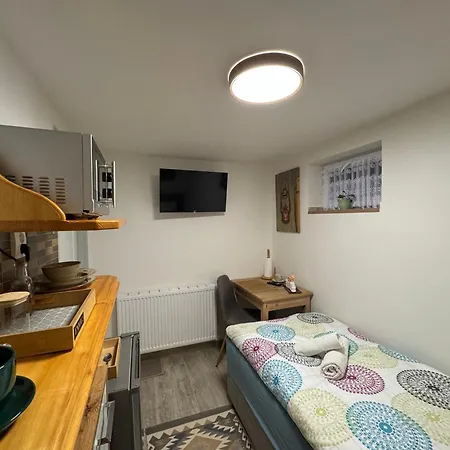 U Bocmana S Vyhledem Na Zamek A Labe Appartement Decin Buitenkant foto