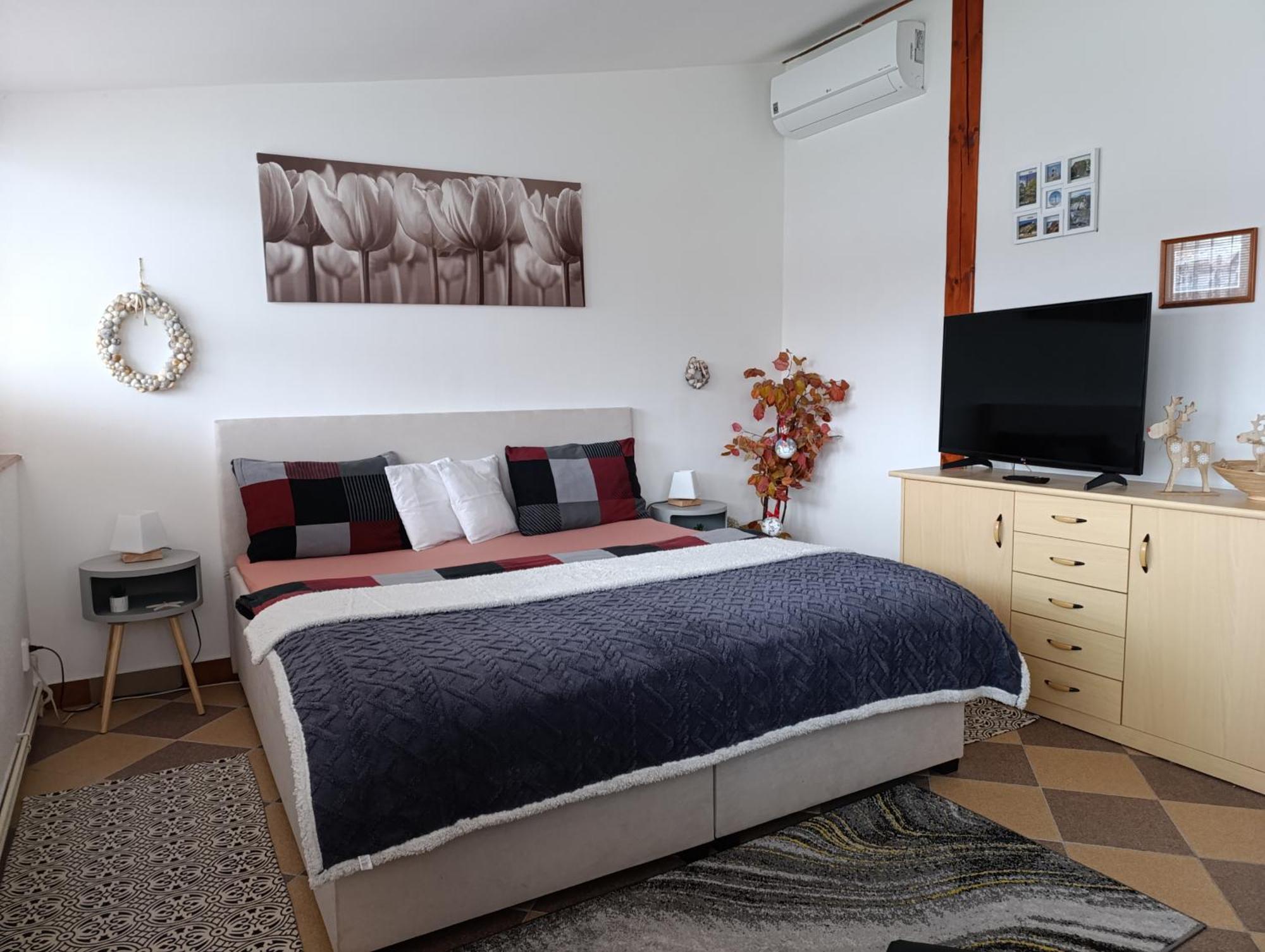Appartement U Bocmana S Vyhledem Na Zamek A Labe *
