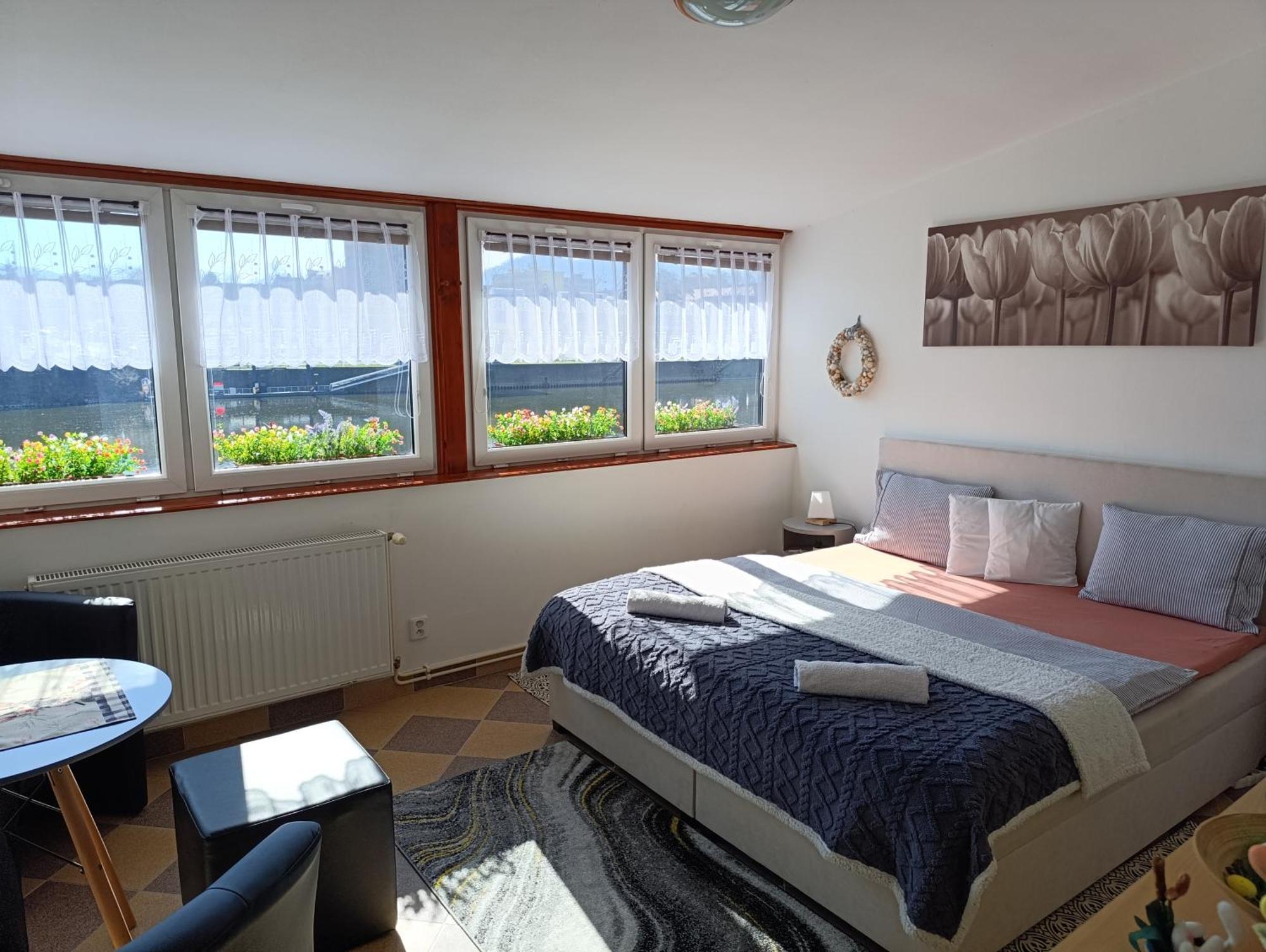 Apartment U Bocmana S Vyhledem Na Zamek A Labe